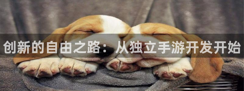 大神28计划：创新的自由之路：从独立手游开发开始