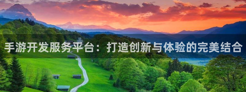 大神28官网预测：手游开发服务平台：打造创新与体验的完美结合