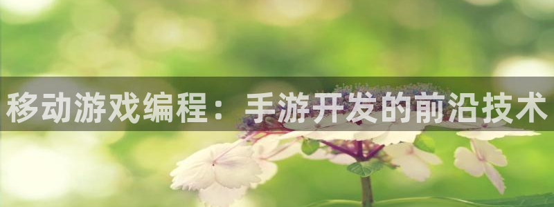 大神网pc28：移动游戏编程：手游开发的前沿技术