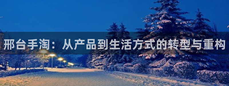 大神28官网：邢台手淘：从产品到生活方式的转型与重构