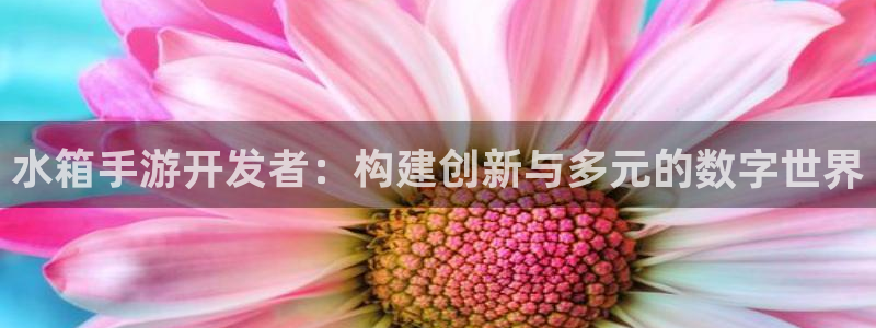28大神预：水箱手游开发者：构建创新与多元的数字世界