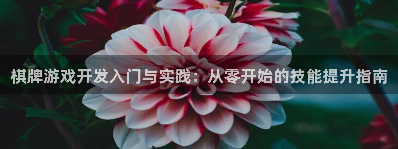 28大神官网网址是什么：棋牌游戏开发入门与实践：从零开始的技