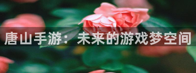 最新28大神预测：唐山手游：未来的游戏梦空间