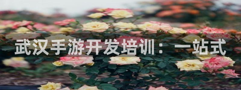 28大神6.0.0版：武汉手游开发培训：一站式