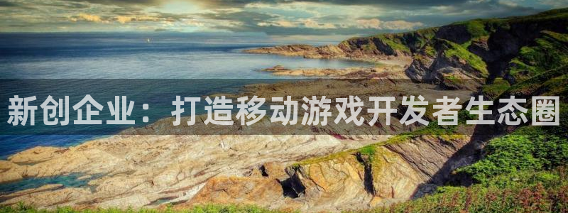 大神28杀组合：新创企业：打造移动游戏开发者生态圈