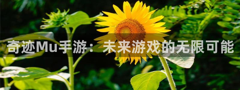 大神28手机版下载：奇迹Mu手游：未来游戏的无限可能