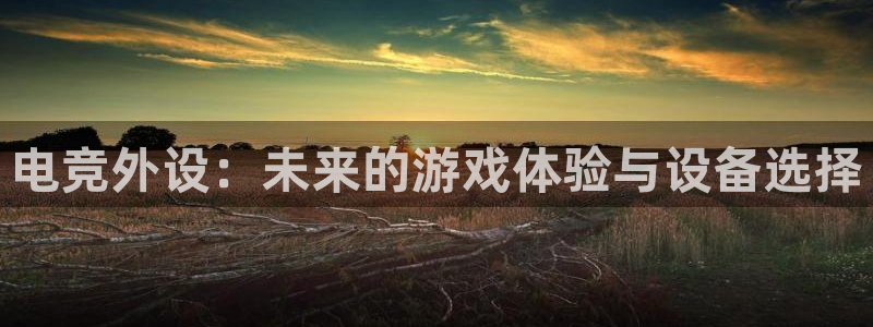 大神28杀最厉害三个组合：电竞外设：未来的游戏体验与设备选择