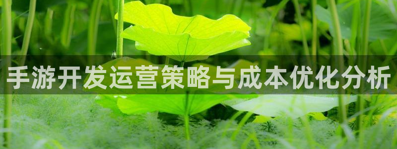 28大神官网：手游开发运营策略与成本优化分析