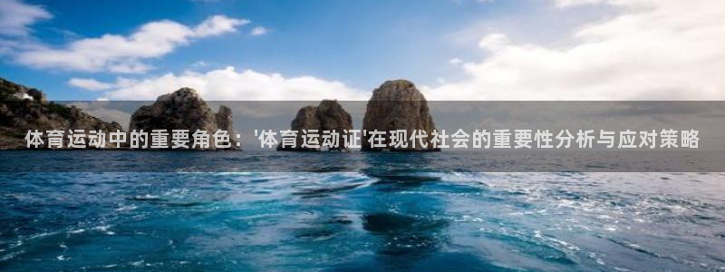vsport体育在线官网