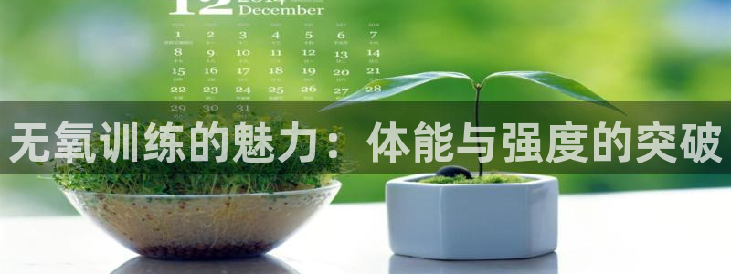 vsport体育在线官网