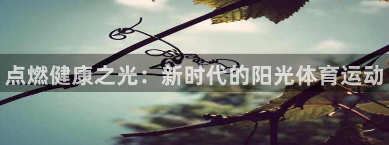 vsport体育在线官网