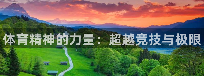 vsport体育在线官网