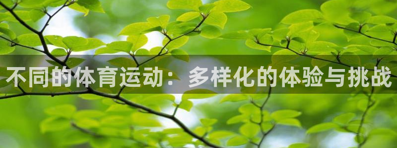 vsport体育在线官网
