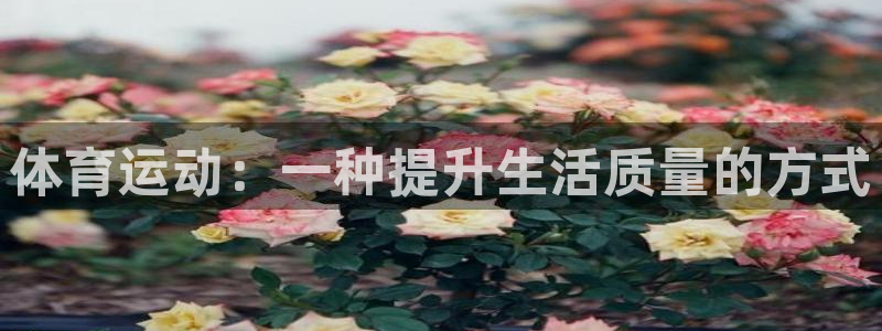 vsport体育