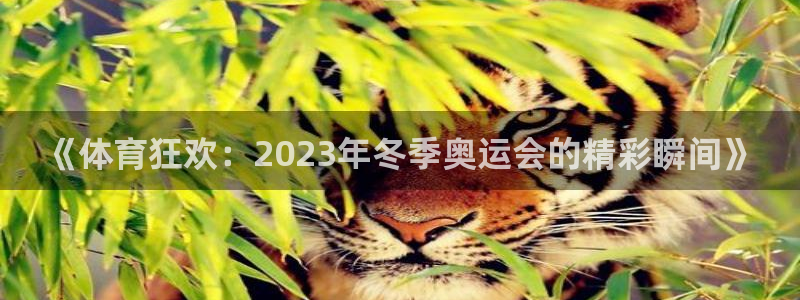 vsport体育在线官网